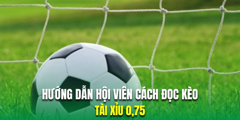 Hướng dẫn hội viên cách đọc kèo tài xỉu 0,75 chính xác