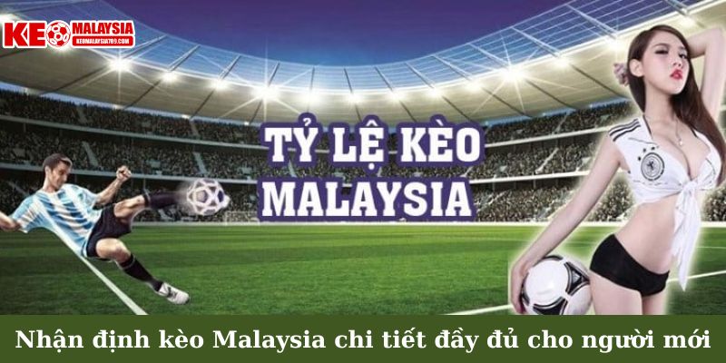 Nhận định kèo Malaysia chi tiết đầy đủ cho người mới