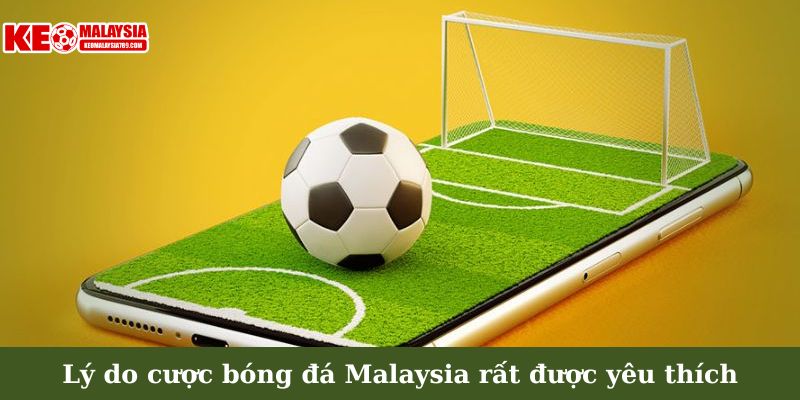 Lý do cược bóng đá Malaysia rất được yêu thích